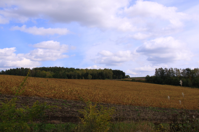 d0248502_8522171.jpg