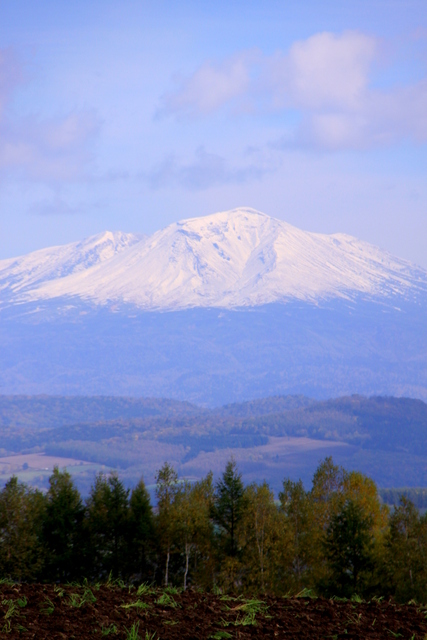 d0248502_8541640.jpg