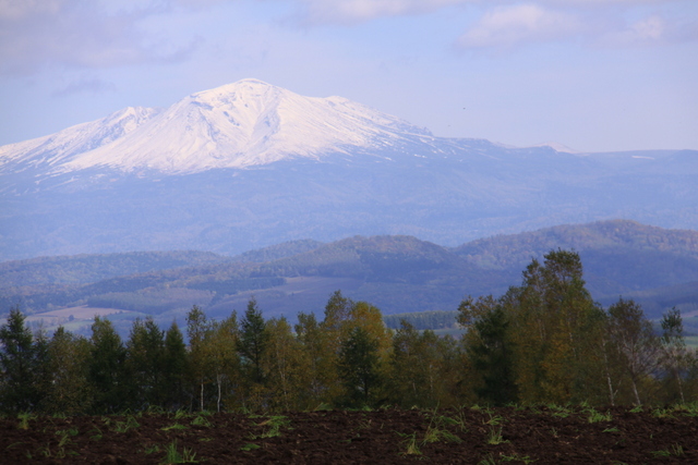 d0248502_8555880.jpg