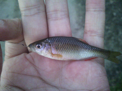 f0082402_1010562.jpg