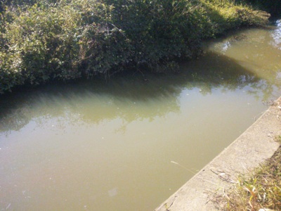 f0082402_10304056.jpg