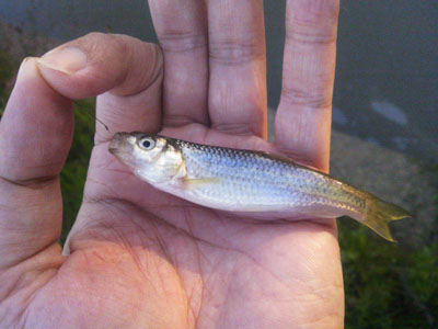 f0082402_10364069.jpg