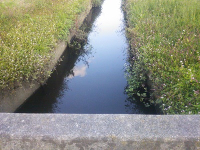 f0082402_1042645.jpg
