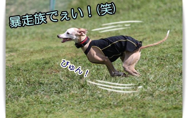 e0100007_1312975.jpg