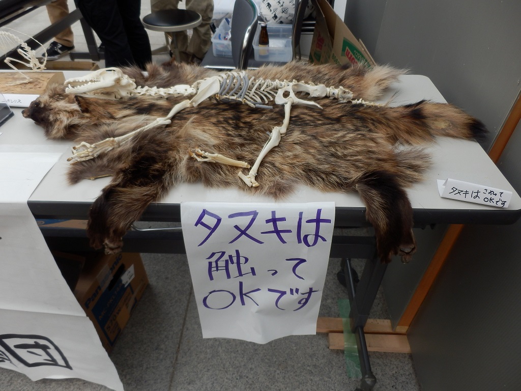 ほねほねサミットに参加した結果 小1の長男が面白い文章を書いた 冒けん 発けん 世界の博物館教育 ほねほねサミットに参加した結果 小1の長男が面白い文章を書いた 冒けん 発けん 世界の博物館教育