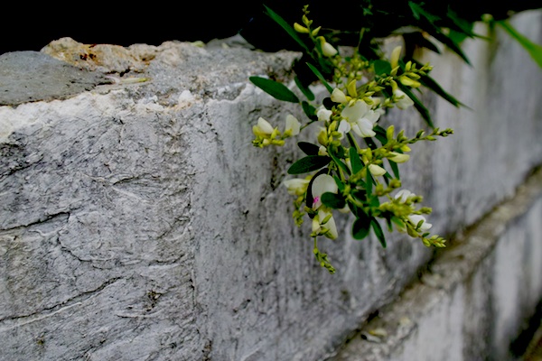 d0116910_05104.jpg