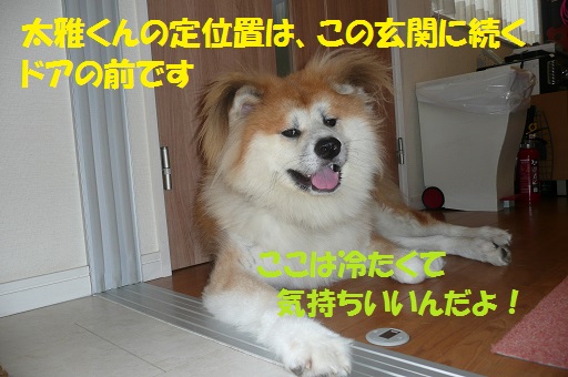 f0121712_1232351.jpg