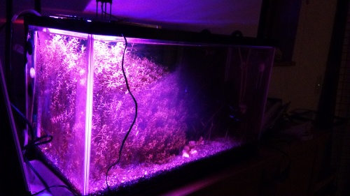 水草水槽用led照明のdiy 2 水草新世界 水草水槽用led照明のdiy 2 水草新世界
