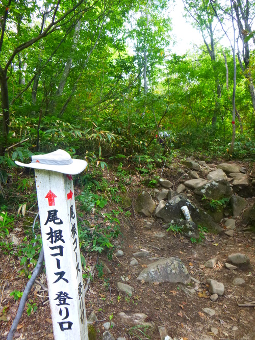 a0236914_6395328.jpg