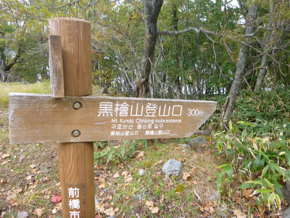 d0170615_1054163.jpg