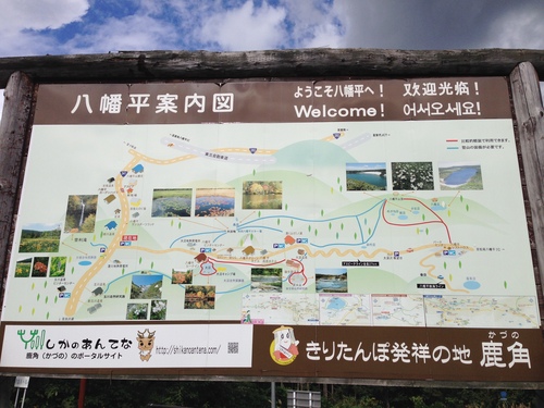 e0224118_191159100.jpg