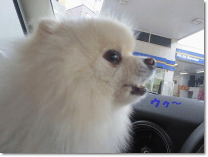 b0167519_23342174.gif