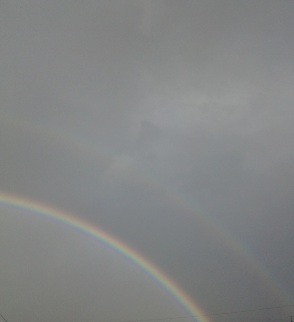 c0097620_19264065.jpg