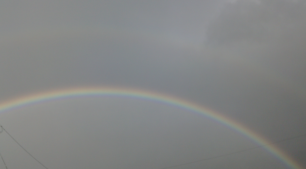 c0097620_19355353.png