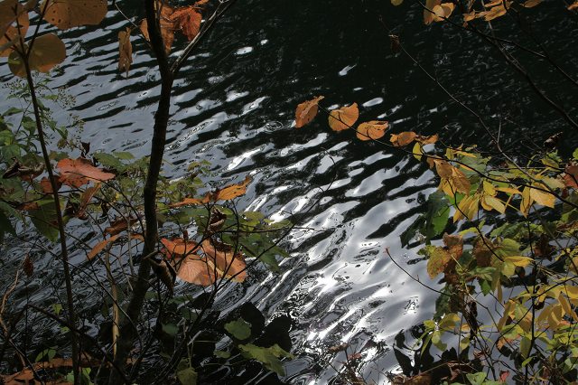 e0242721_82349.jpg