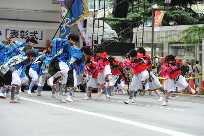 第15回東京よさこい　鴉　前編　（敬称略）_c0276323_1827173.jpg