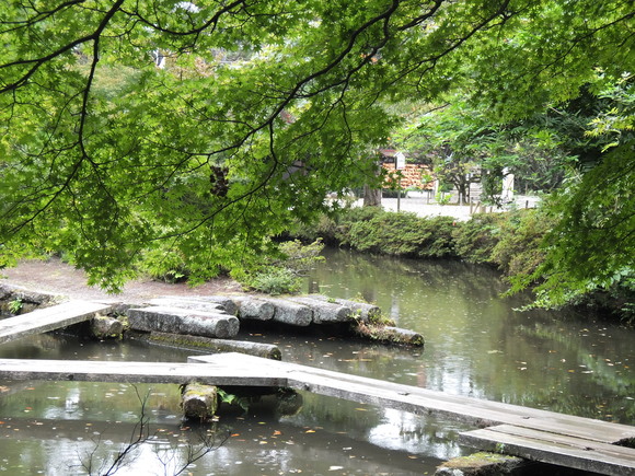d0195623_17174920.jpg