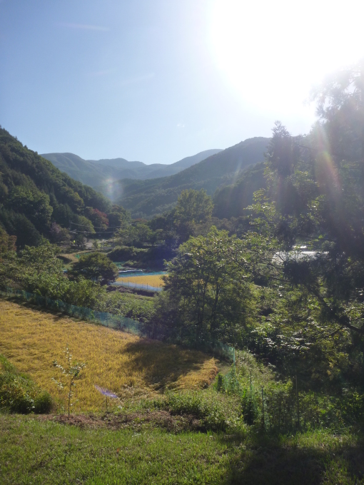 たかこからの山里たより_e0015223_13043382.jpg