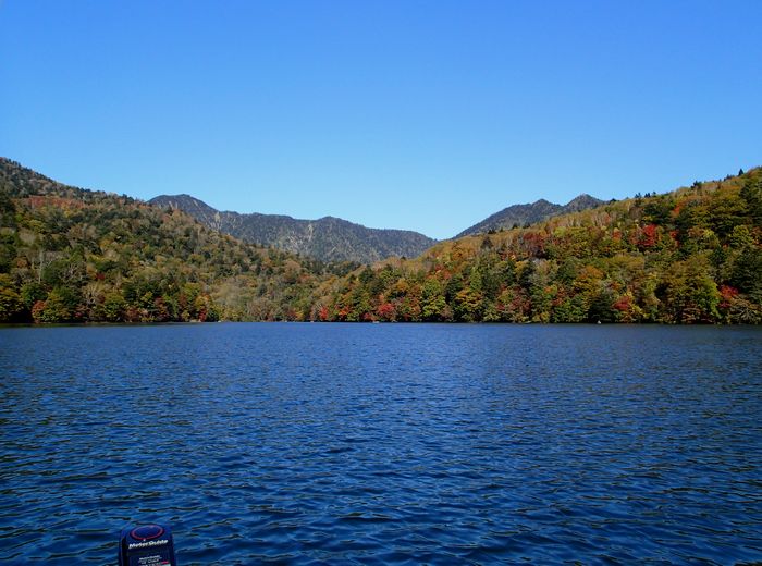 f0188724_17124310.jpg