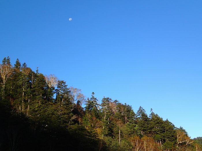 f0188724_17252788.jpg