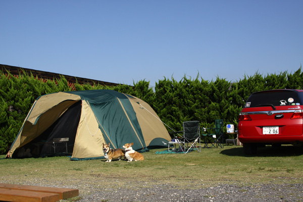 e0071225_22413179.jpg