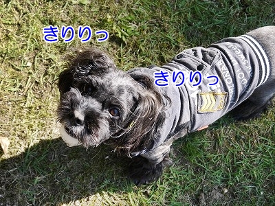 f0326925_23592906.jpg
