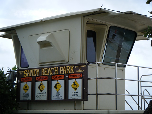 e0303726_171527.jpg