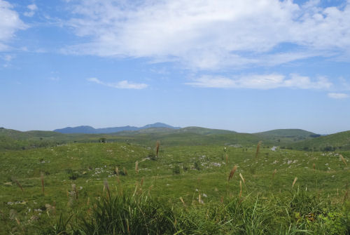 b0211627_141356.jpg