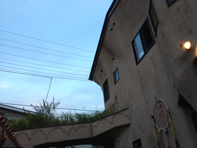 素敵な出会い_a0258233_123392.jpg