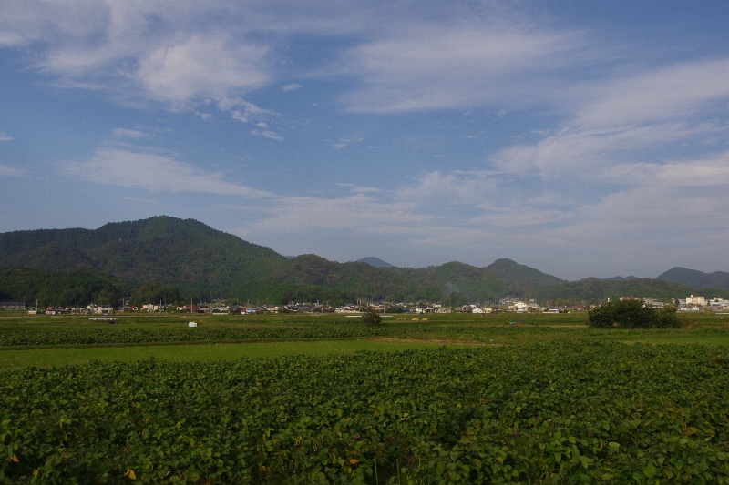 c0113733_1410024.jpg