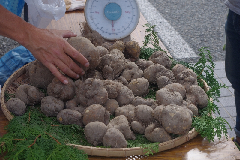 c0113733_1432432.jpg
