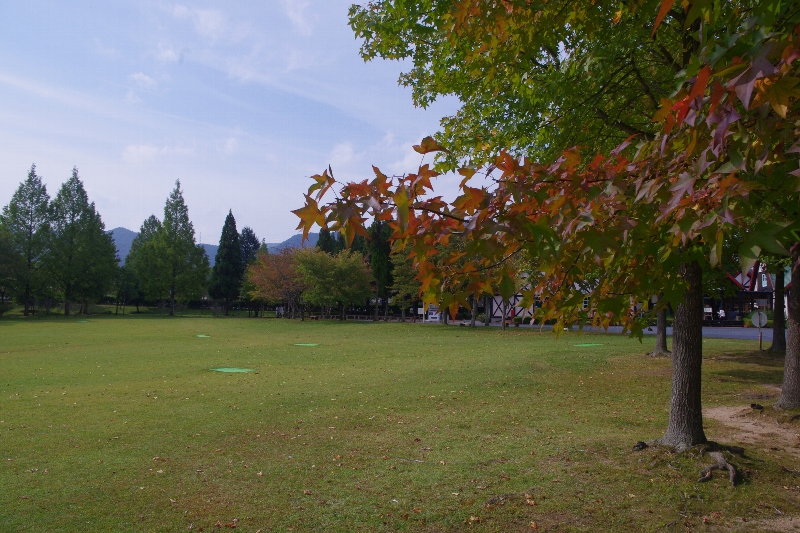 c0113733_21112153.jpg