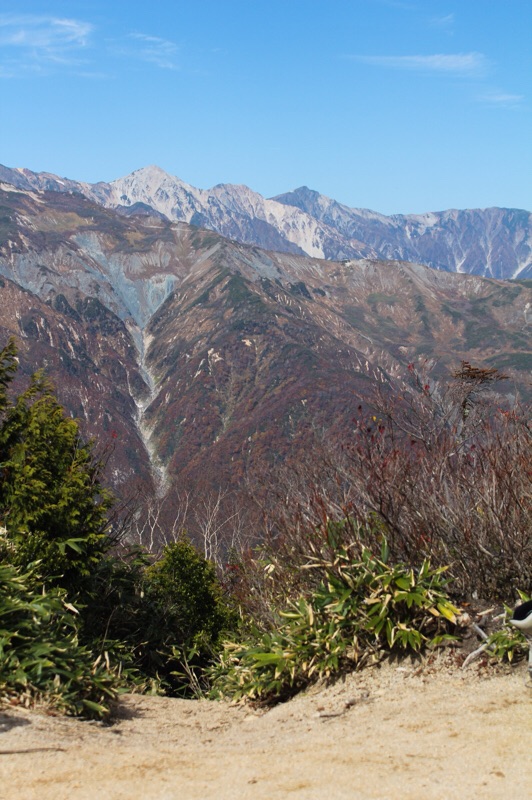 小遠見山_b0132338_06453295.jpg