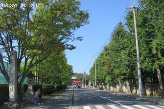 大徳寺塔頭孤篷庵♪_f0295238_16164472.jpg