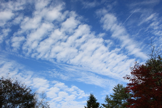 e0234741_14271793.jpg