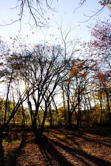e0234741_14412873.jpg