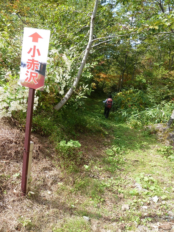 d0288144_20573569.jpg