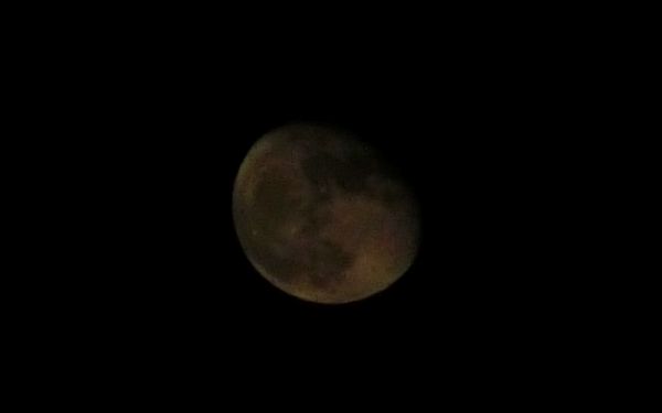 e0086244_1224911.jpg