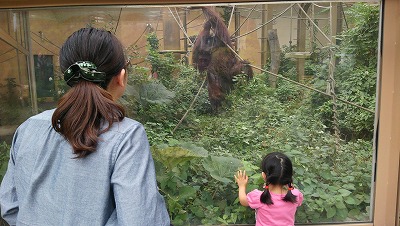 もはや、庭レベルの円山動物園_c0017046_17315995.jpg