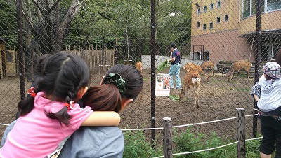 もはや、庭レベルの円山動物園_c0017046_17325869.jpg