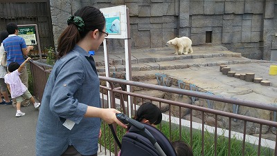 もはや、庭レベルの円山動物園_c0017046_17354430.jpg