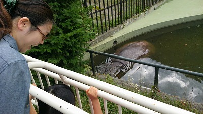 もはや、庭レベルの円山動物園_c0017046_17384526.jpg