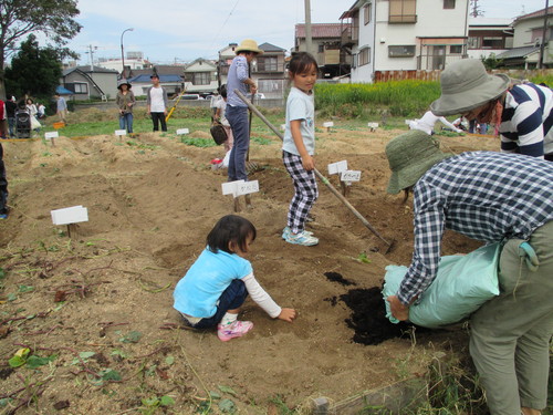 サツマイモの収穫です(^o^)_f0079749_946660.jpg