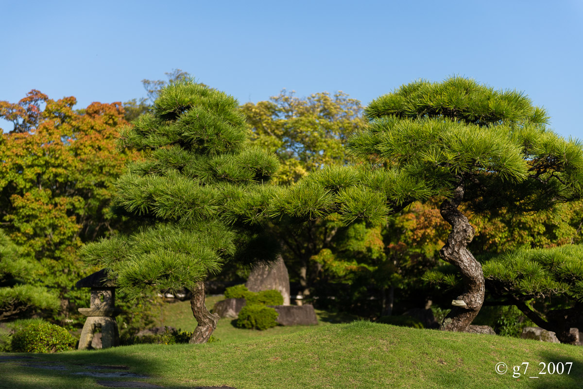 姫路 好古園..._f0152550_1834270.jpg