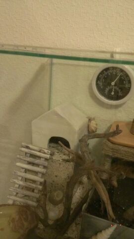 手作りシェルター トロトロな日々