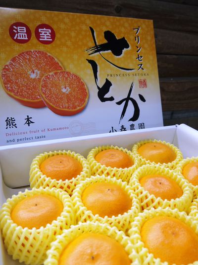 究極の柑橘「せとか」 大きく!甘く!美味しく!徹底管理で仕上げていきます_a0254656_15202951.jpg