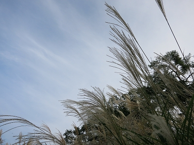 e0170558_23352687.jpg