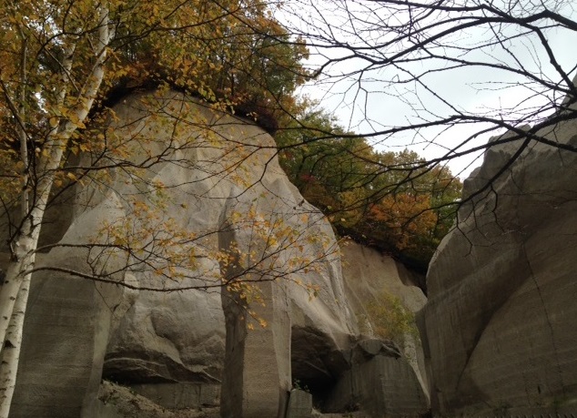 札幌・石山緑地の紅葉_b0236665_22093438.jpg