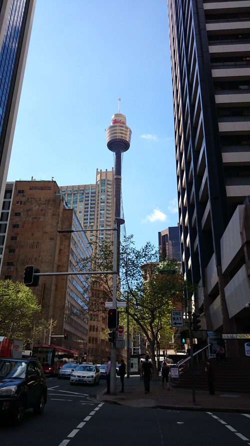 f0057765_1643174.jpg