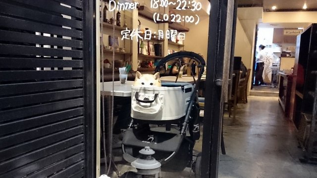 b0274270_11244577.jpg